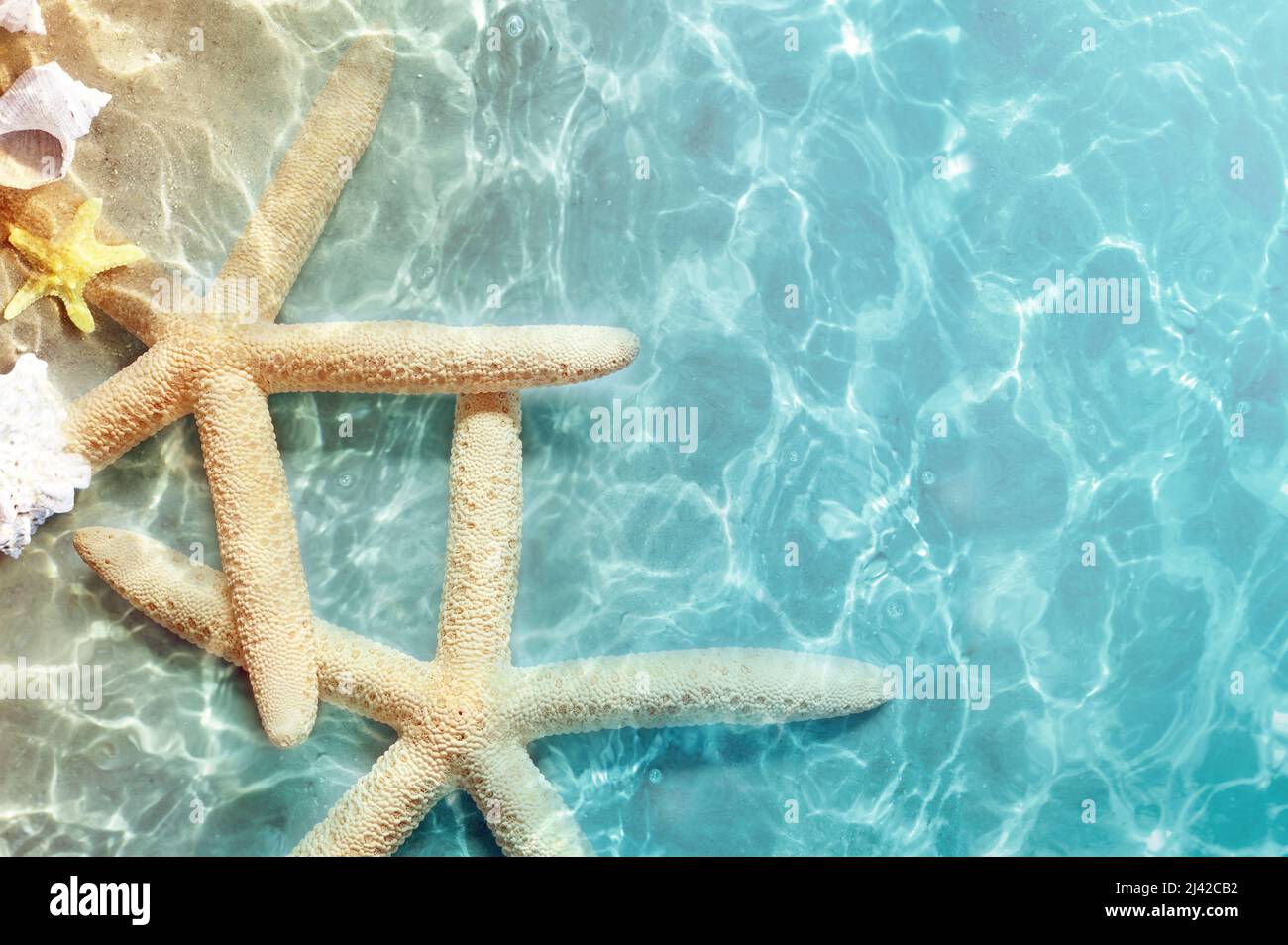 Wallpaper Sea 5k 4k wallpaper ocean starfish shore Best Beaches in  the World OS 4883