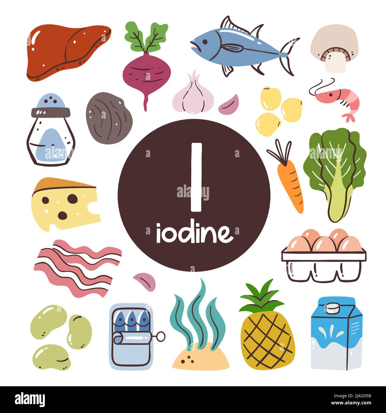 Food products with high level of Iodine. Cooking ingredients. Fruits, vegetables, legumes, dairy, meat, seafood. Stock Vector