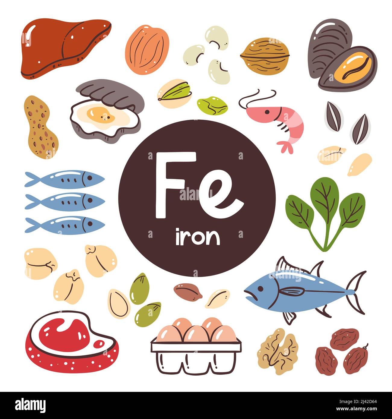 Food products with high level of Iron. Cooking ingredients. Meat, vegetables, nuts, legumes, seeds, seafood. Stock Vector