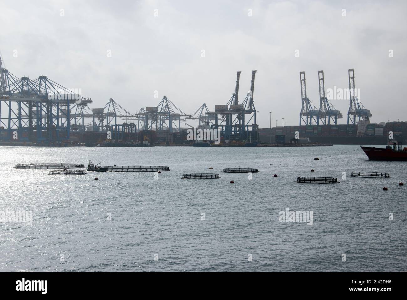 Commercial fish farming in the busy shipping port of Marsaxlokk harbour