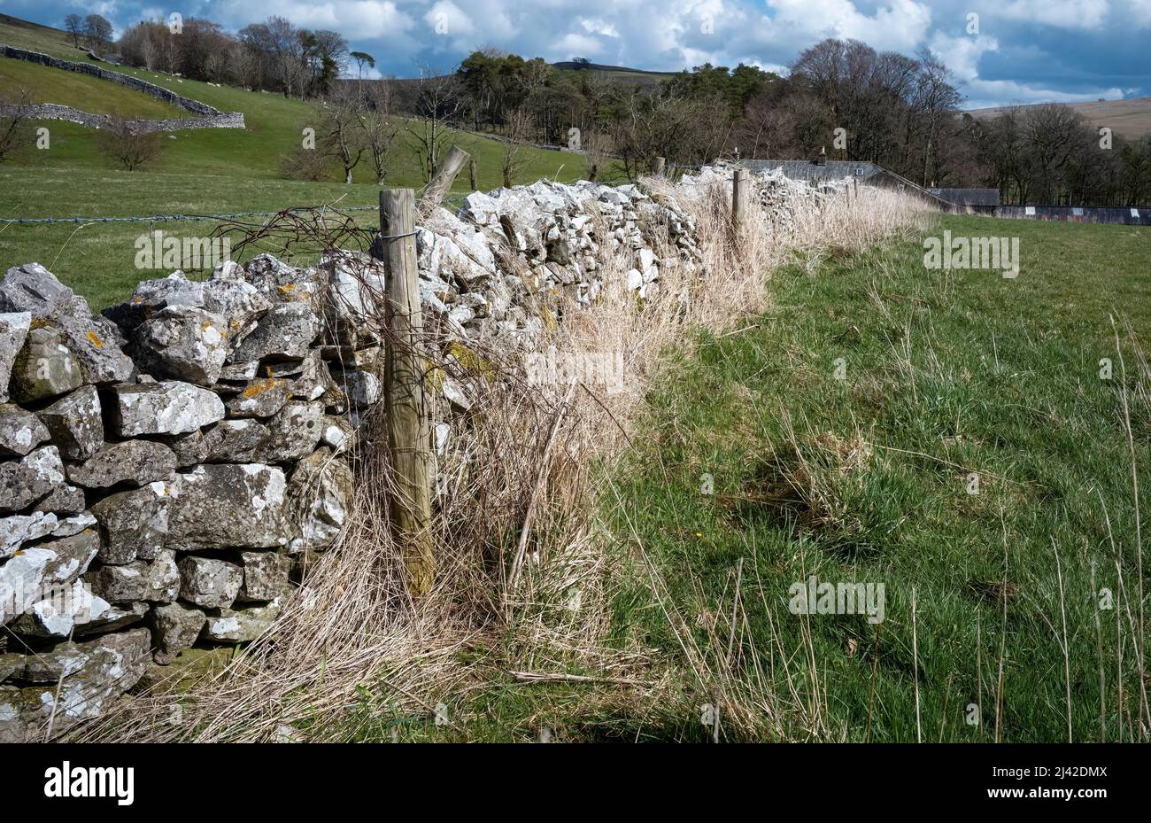 Rough and Irregular stones constructed into a traditional boundary between green fields, a haven for flora and fauna, Orton, Cumbria, UK Stock Photo