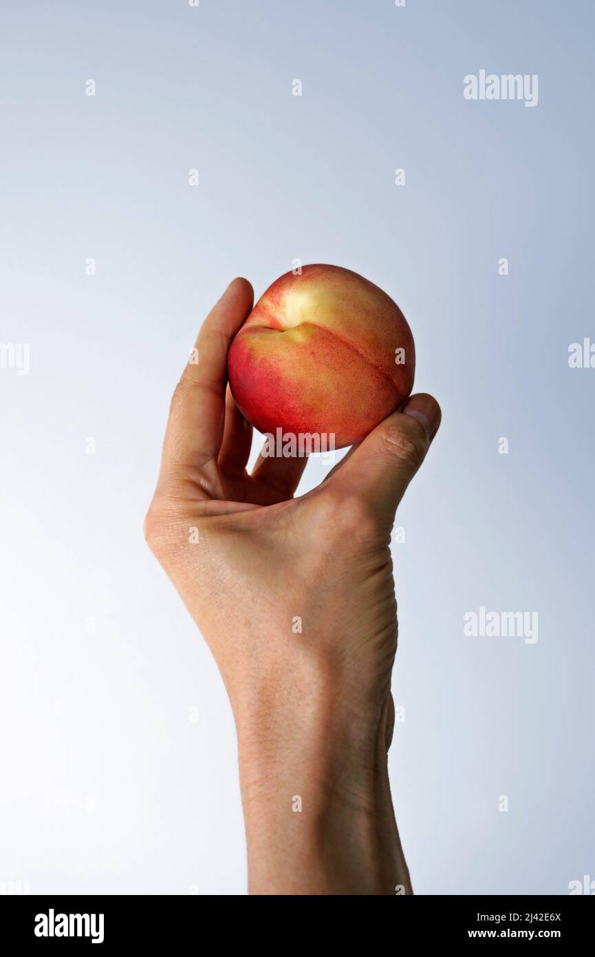 Peach on hand in a bright background Stock Photo Alamy