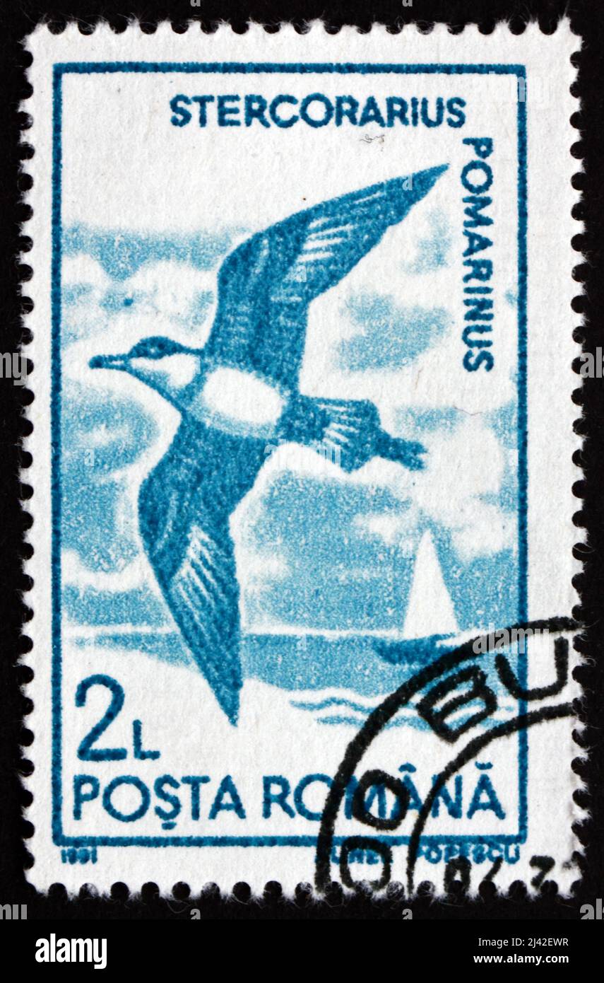 ROMANIA - CIRCA 1991: a stamp printed in the Romania shows Pomarine Skua, Stercorarius Pomarinus, Bird, circa 1991 Stock Photo
