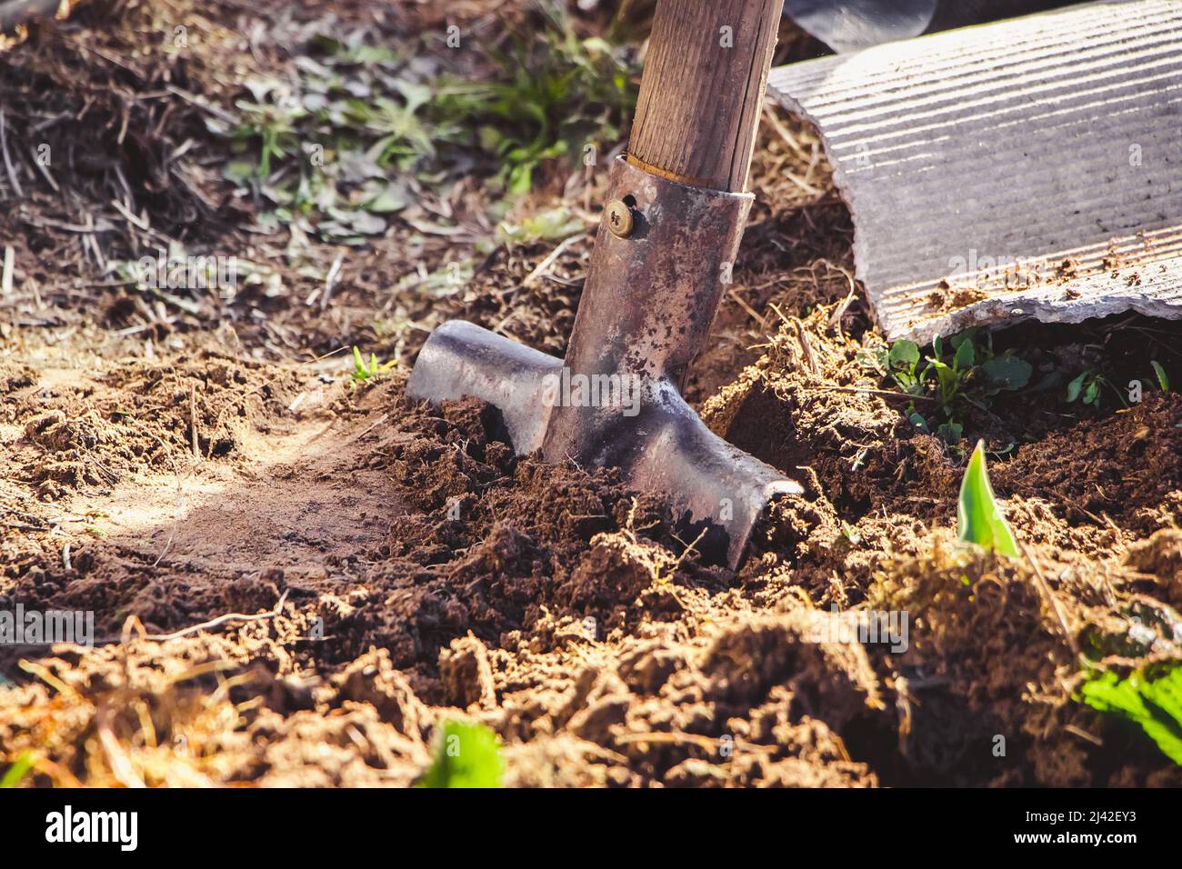 Digging up the earth with hand shovel. Gardening and planting seeds in spring. Rural life, farming. Stock Photo