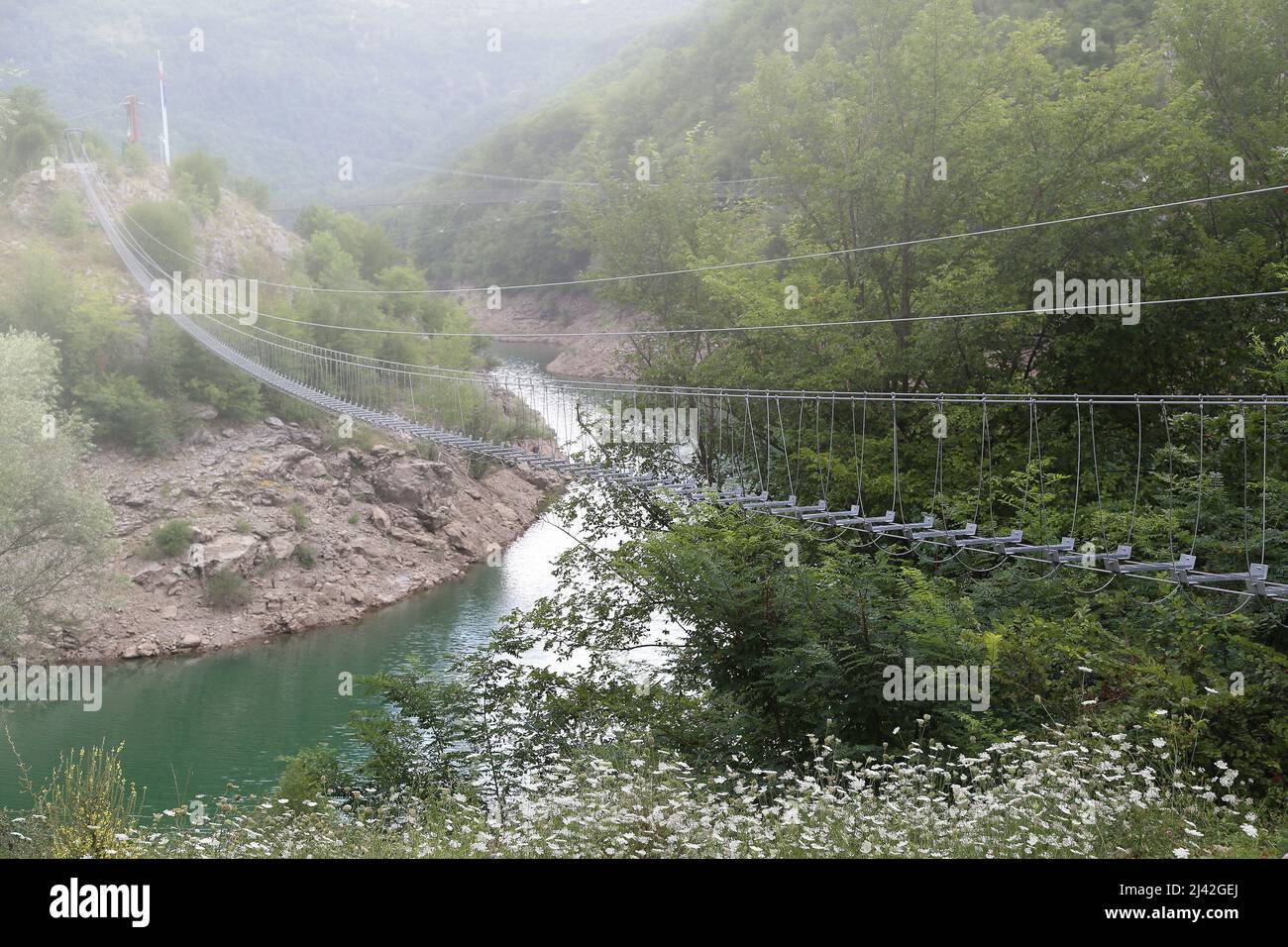 Pedestrian suspension bridge in the fog, surrounded by nature Stock Photo