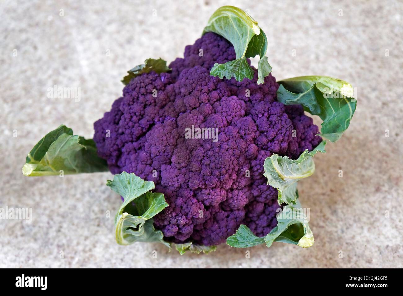Purple cauliflower on granite background Stock Photo - Alamy