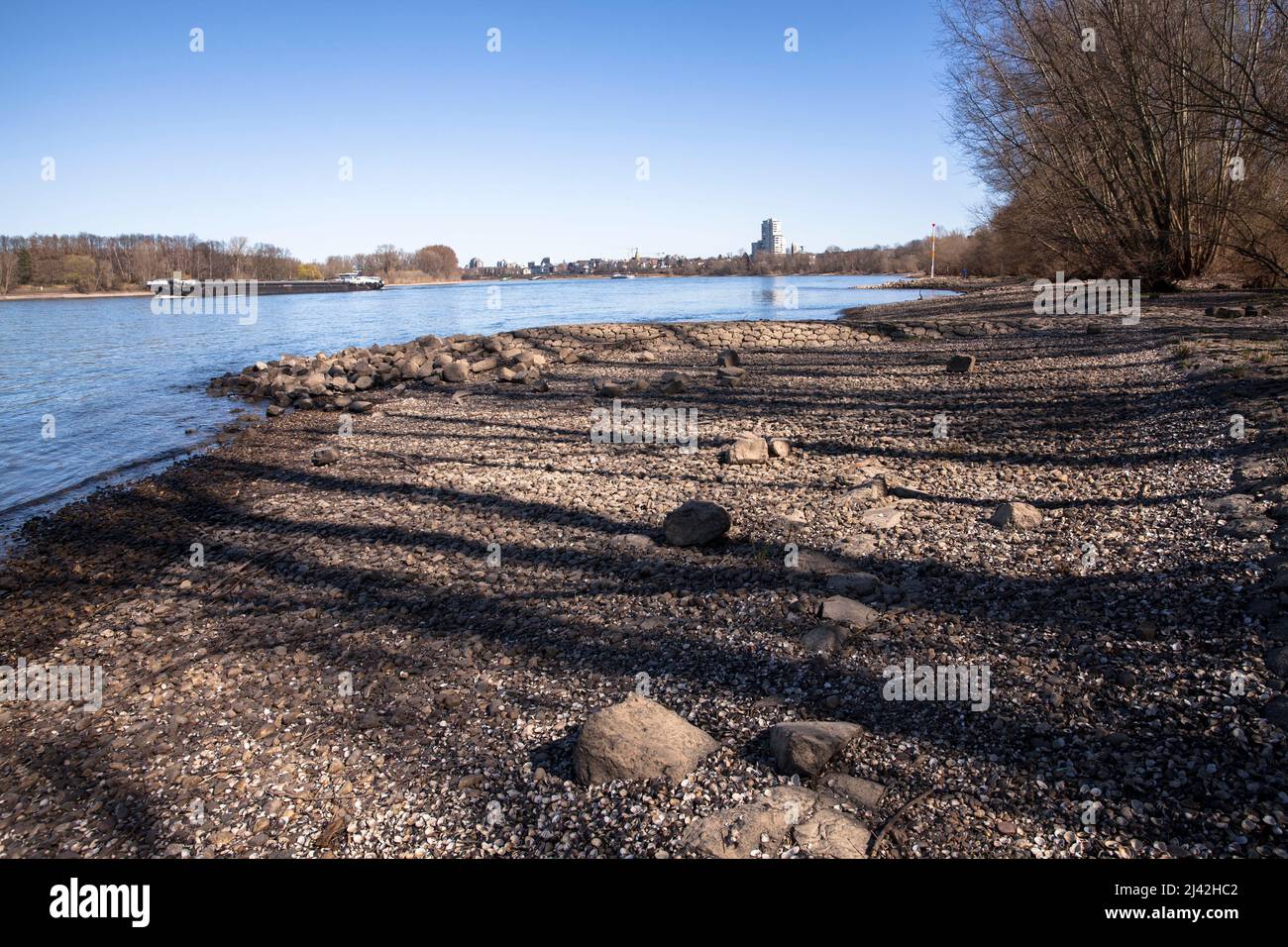 bank of the Rhine at Zuendorfer Groov in the district Porz, Cologne, Germany. Rheinufer an der Zuendorfer Groov im Stadtteil Porz, Weisser Rheinbogen, Stock Photo