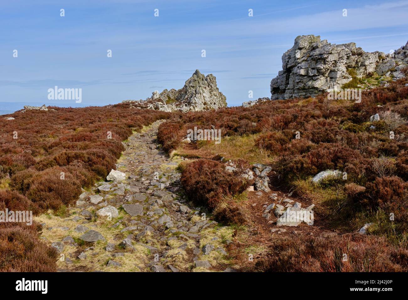 The ridge path towards the Devil's Chair, Stiperstones, Shropshire ...