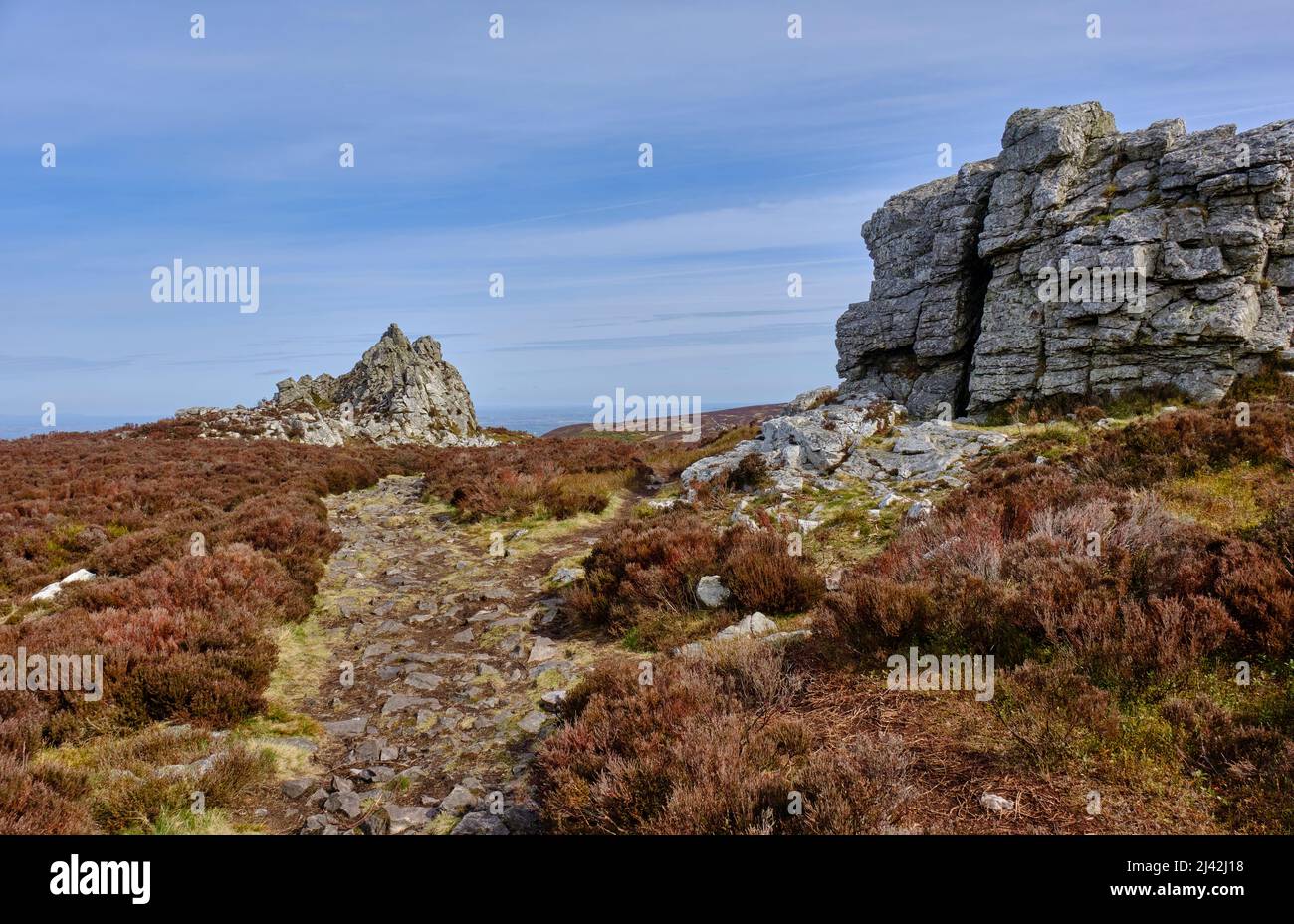 The ridge path towards the Devil's Chair, Stiperstones, Shropshire ...