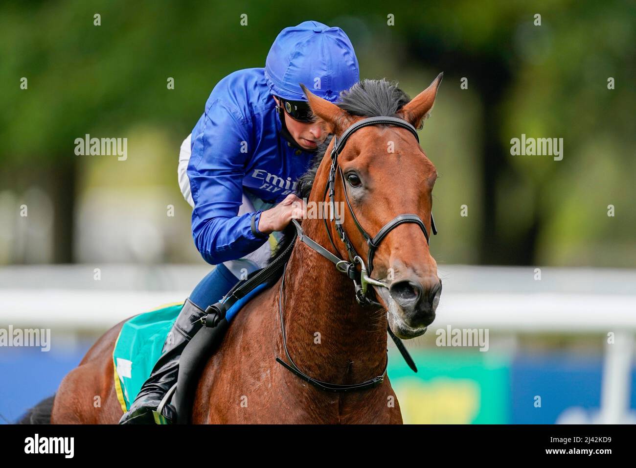 File photo dated 11-07-2020 of Master Of The Seas, last year's Qipco 2000 Guineas runner-up, makes his return in the bet365 Earl Of Sefton Stakes at Newmarket, trying nine furlongs for the first time at a track he is yet to finish outside of the first three. Issue date: Monday April 11, 2022. Stock Photo