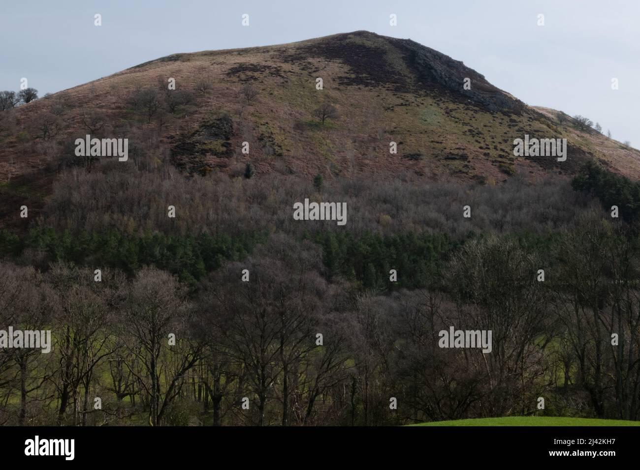Dol-y-fan Hill, Powys, Wales, UK Stock Photo