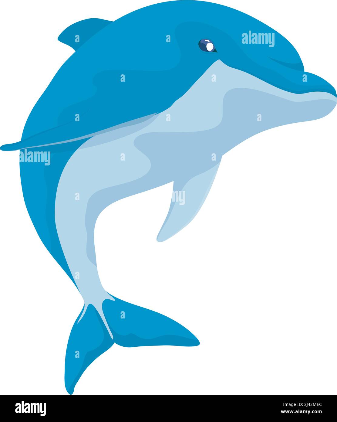 dolphin fish sealife animal icon Stock Vector Image & Art - Alamy