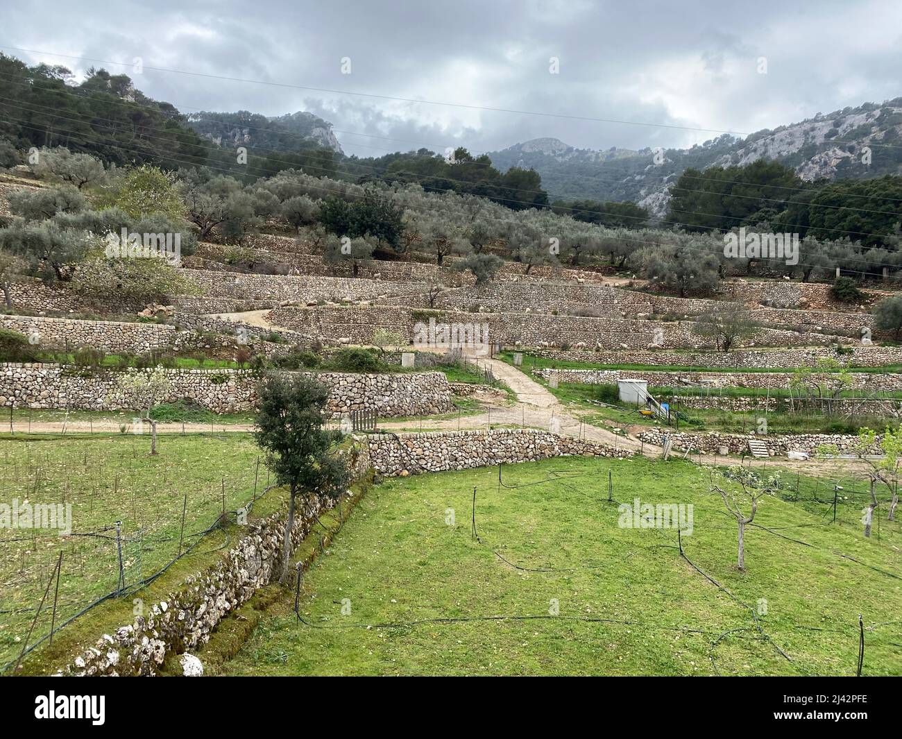 Agriculture and stone walls on Mallorca, Spain Stock Photo