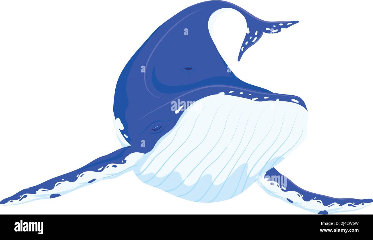 whale fish sealife animal icon Stock Vector Image & Art - Alamy