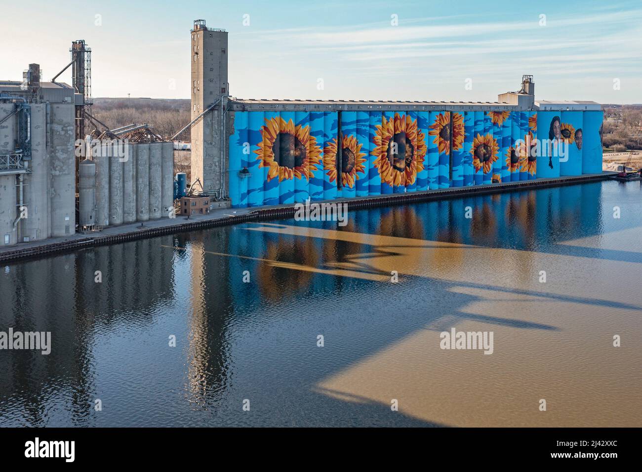 Toledo, Ohio - The Glass City River Wall, a sunflower mural by Gabe Gault, painted on the ADM grain silos on the Maumee River. Stock Photo
