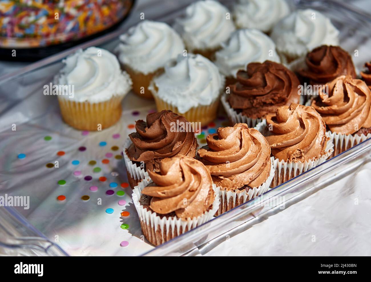 Homemade Chocolate and Vanilla cupcakes with shallow depth of field Stock Photo