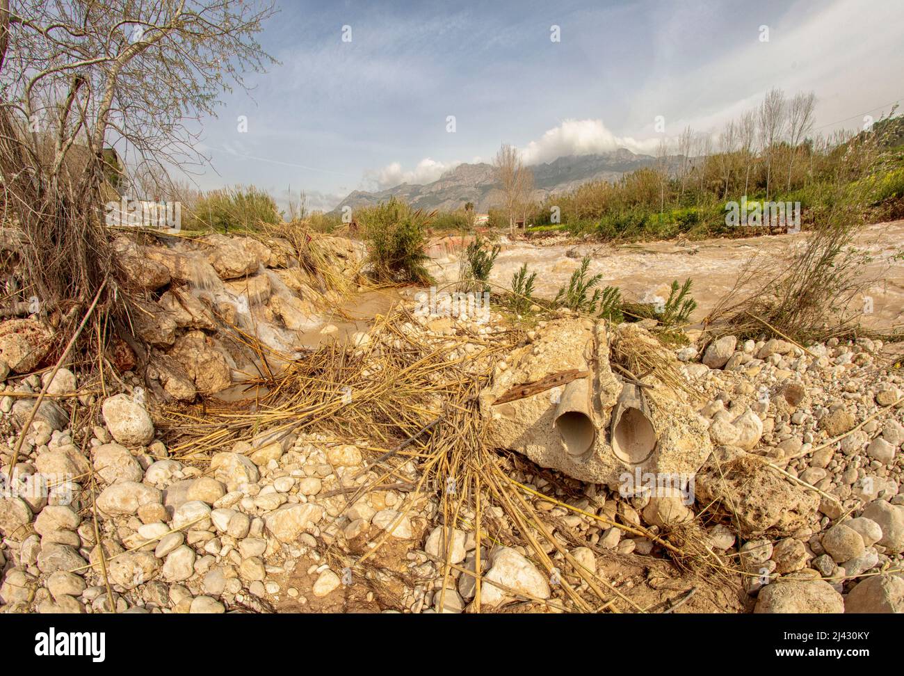 Environmental landscape of invasive reeds (Phragmites australis) tossed ...