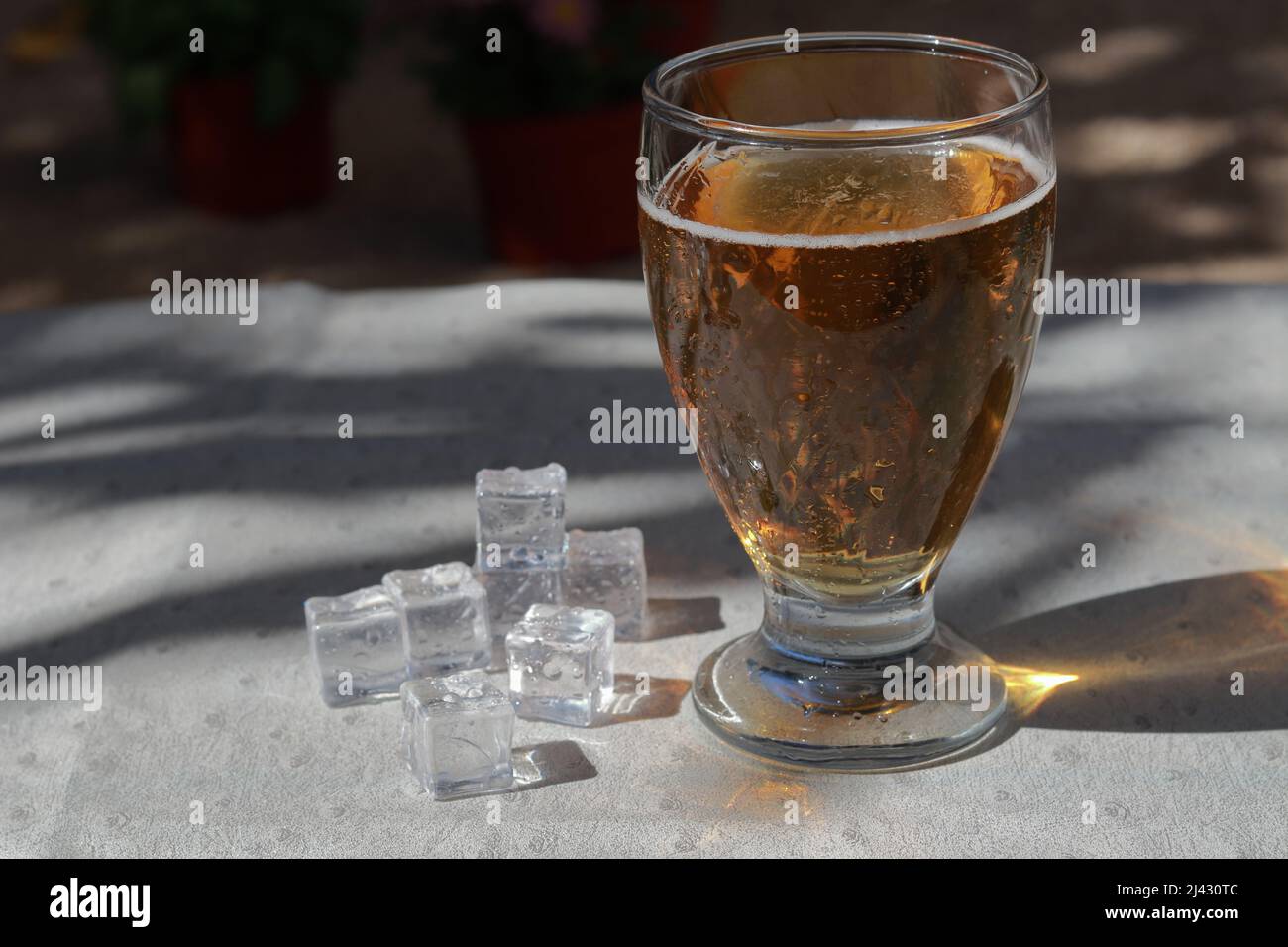 A glass of cold beer with ice cubes Stock Photo Alamy