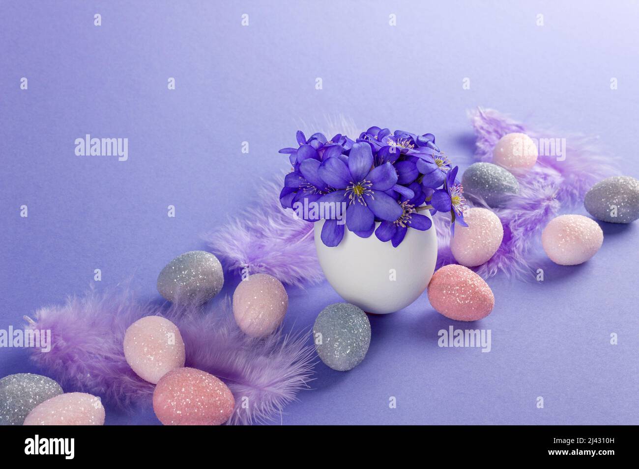 Happy Easter concept. Easter eggs with hepatica flowers and feathers on purple background. Stock Photo