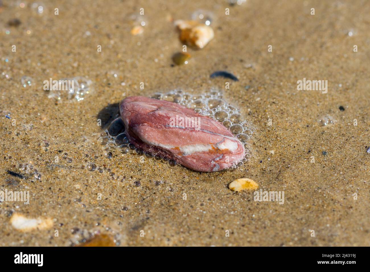Beach stone on the sand closeup. Stock Photo
