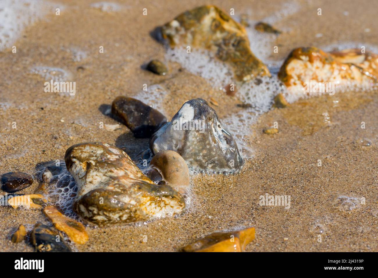 Stones washed up on the seashore closeup. Stock Photo