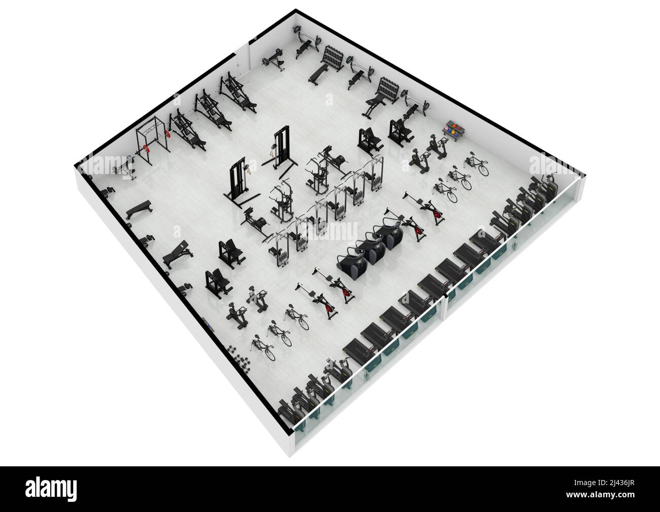 Floor plan gym. Fitness center 3d illustration. Fitness. Gym. Fitness ...