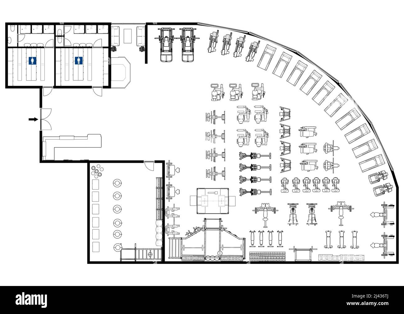 Floor plan gym. Fitness center 3d illustration. Fitness. Gym. Fitness