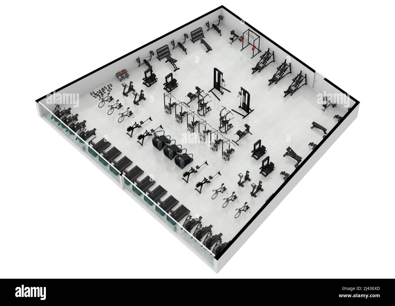 Floor plan gym. Fitness center 3d illustration. Fitness. Gym. Fitness