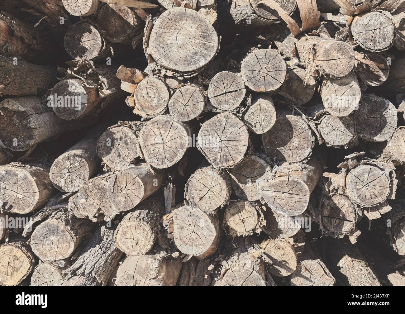 Faded picture of a firewood pile, natural abstract background. Stock Photo