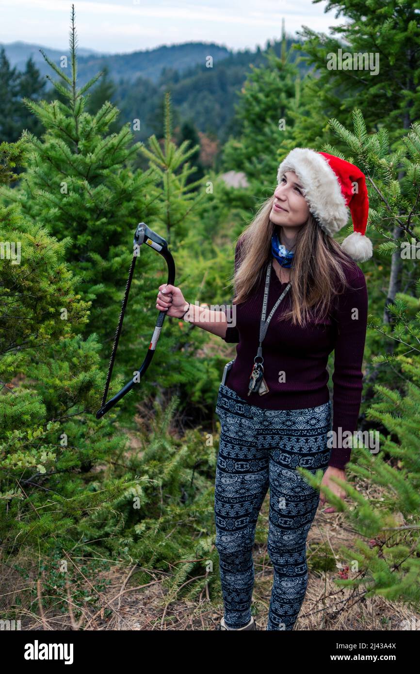 a young woman ponders the perfect Christmas tree to cut down at the Christmas tree farm Stock Photo