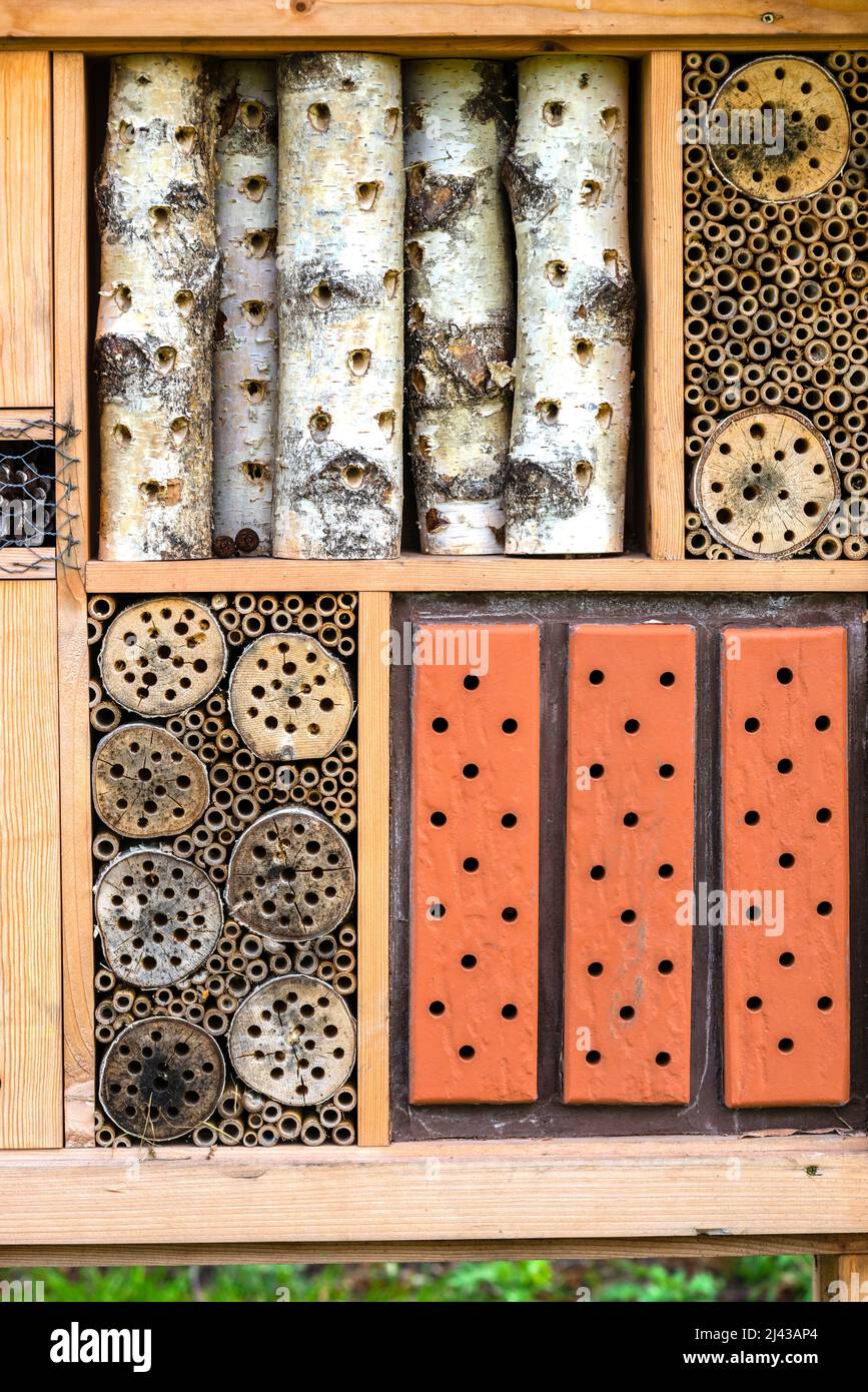 Close up of a bug hotel in the city centre of Southampton, England, UK Stock Photo