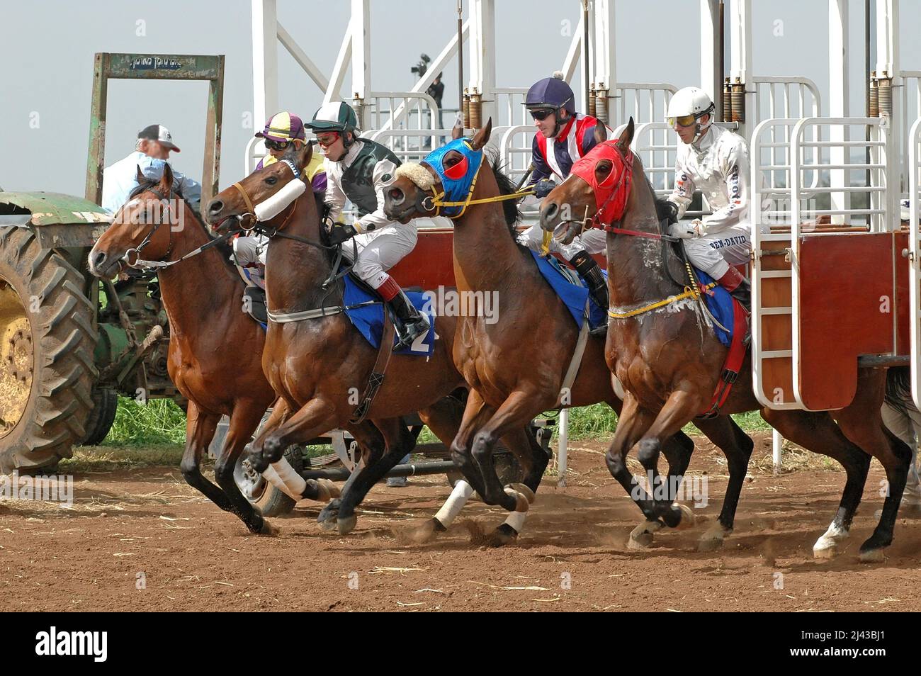 Horse race - Start second Stock Photo
