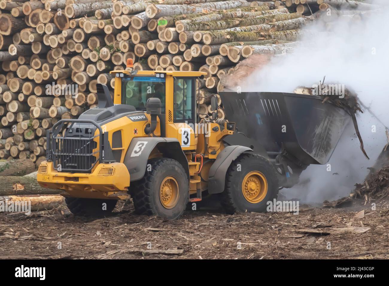Heavy machinery loader in a saw mill Stock Photo