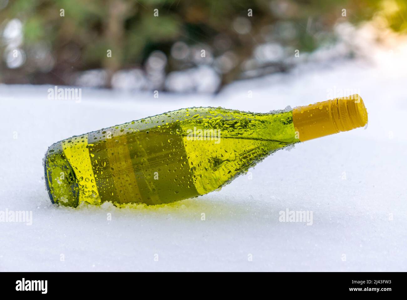 A bottle of wine in the freezing rain on the cold snow Stock Photo Alamy