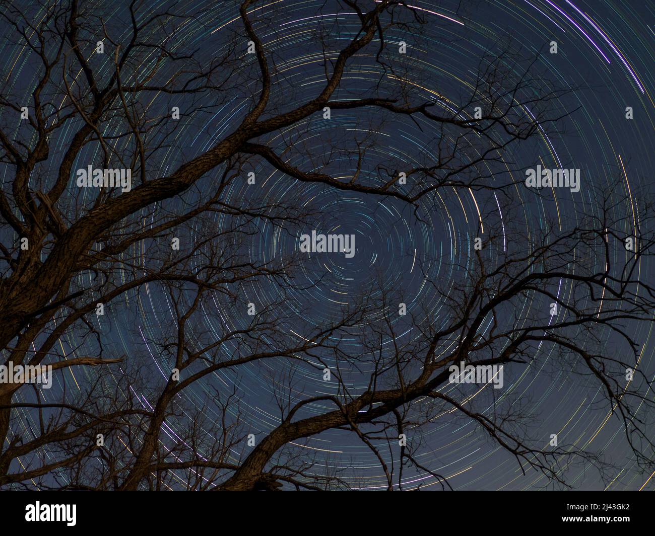 Silence of the stars. Movement of stars around pole star on north hemisphere against tree. Startrails on night sky, long exposure composition. Stock Photo