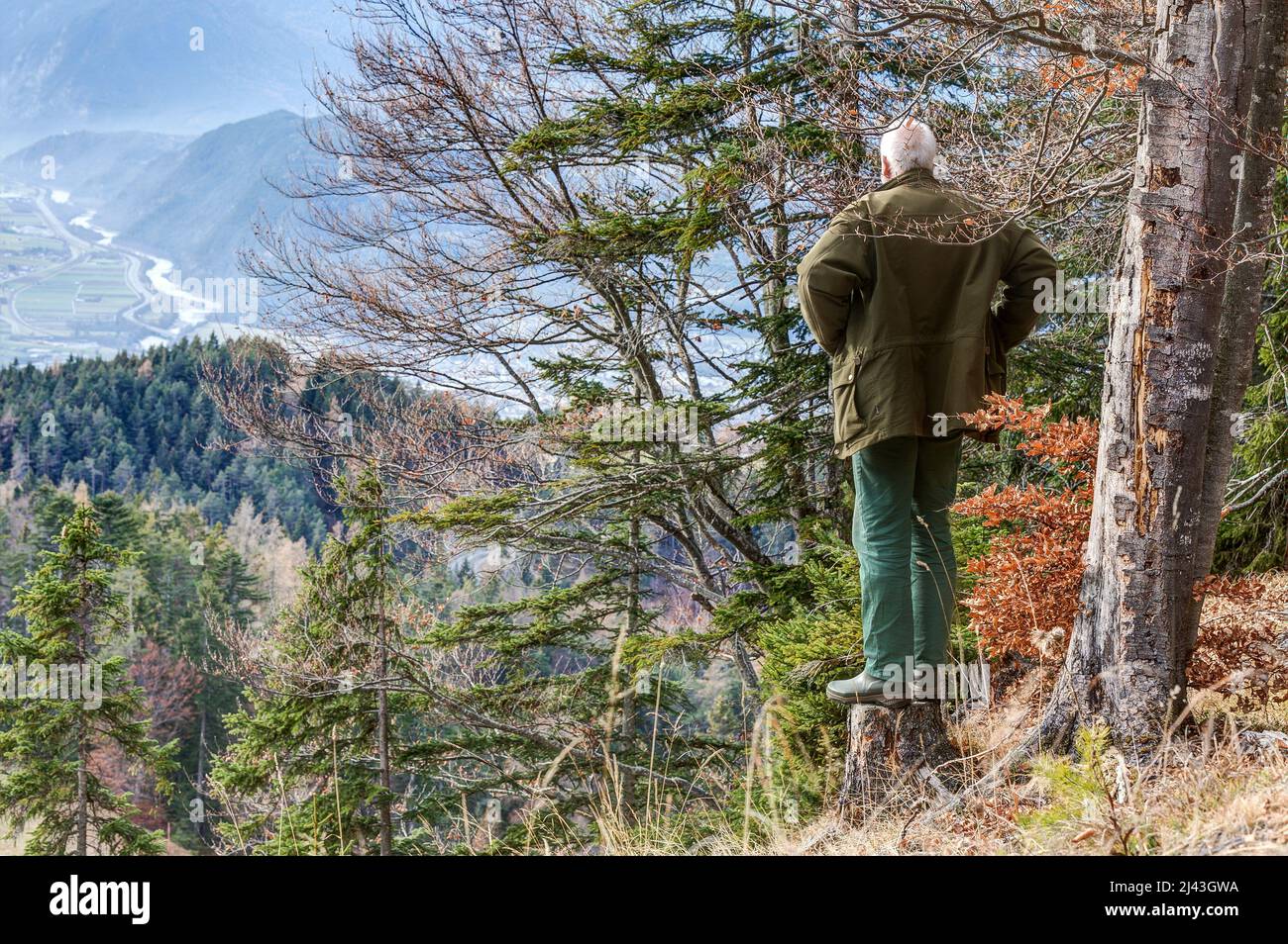 A mountain hiker stands on a tree stump on the slope of a mountain in the Tyrolean Alps and looks down on the beautiful Inn Valley. Stock Photo