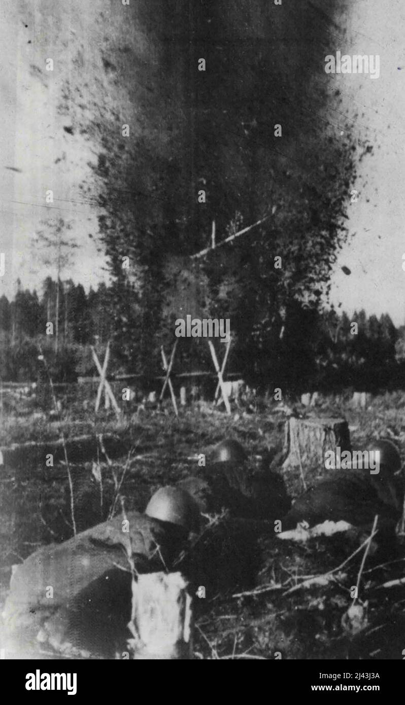 Red Army Sappers Operating on Leningrad Front -- Radio picture from the Leningrad front showing Soviet Sappers making passages for red Army Scouts in enemy Barbed wire Entanglements. August 23, 1942. (Photo by U.S.S.R. Official Photograph). Stock Photo
