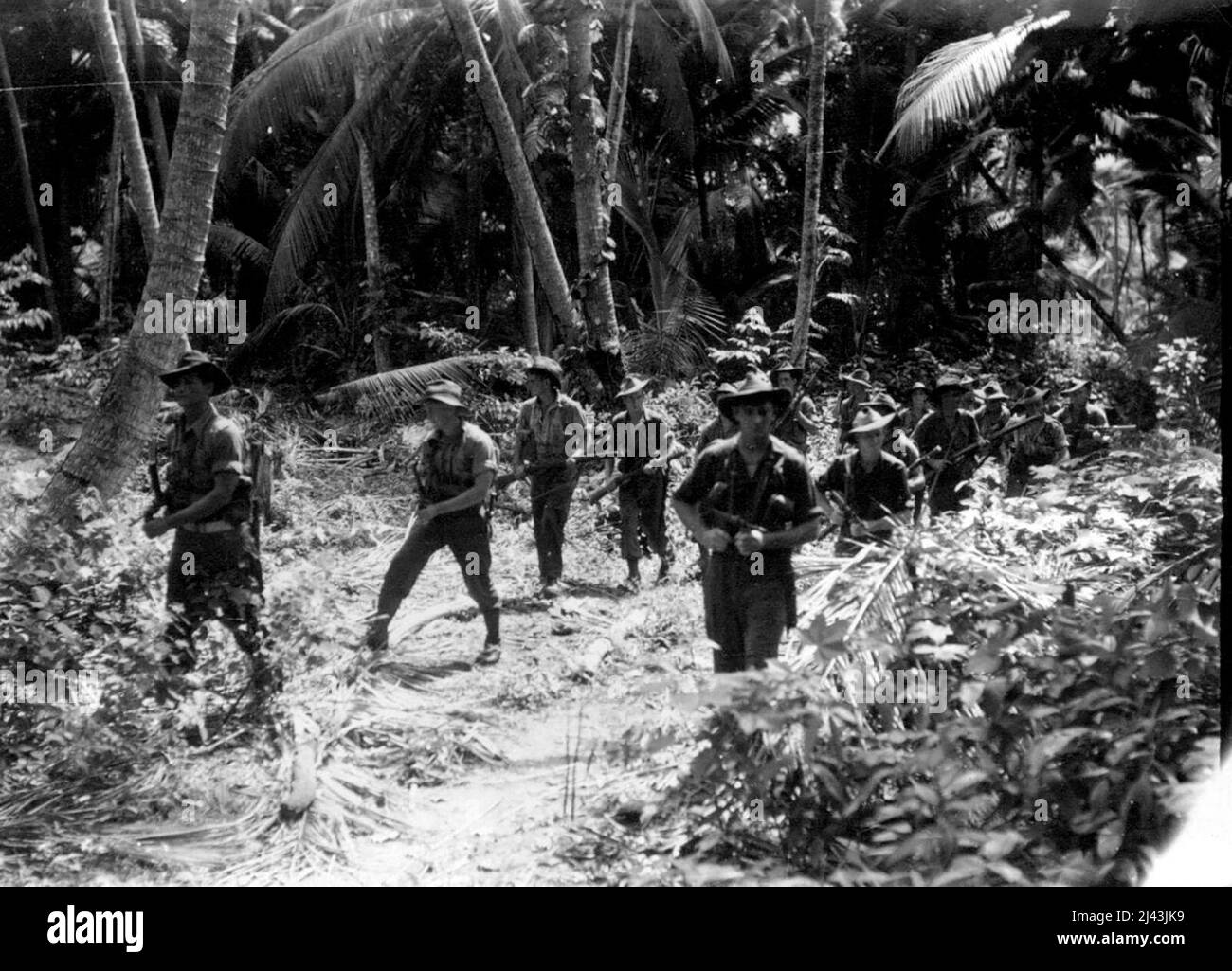 Dutch New Guinea. Jungle patrol of Australian troops moving through coconut palms and undergrowth in Dutch New Guinea. April 6, 1955. Stock Photo