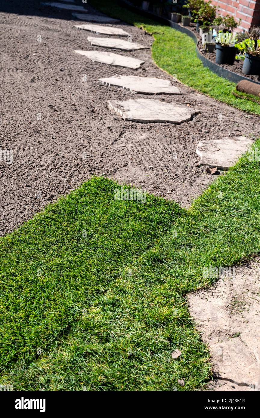 Making of natural green lawn in garden with rolls of green grass