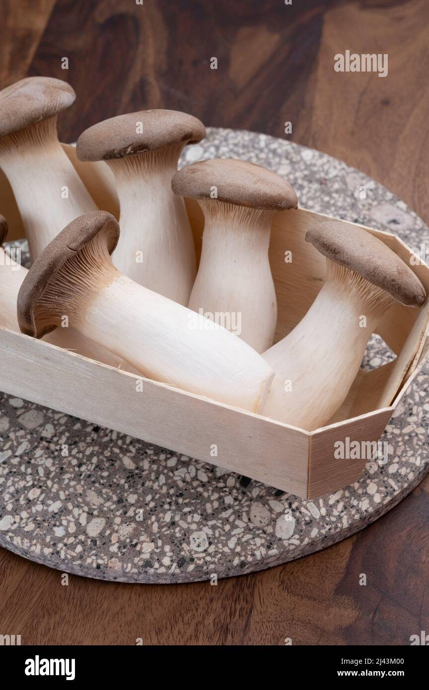 Tasty vegetarian food, fresh organic Pleurotus eryngii king trumpet