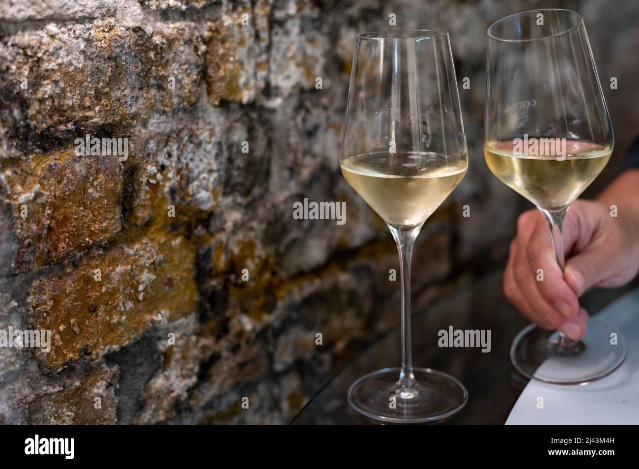 Tasting of brut champagne sparkling wine produced by traditional method in underground caves