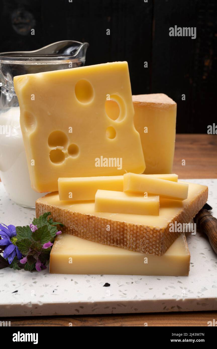 Swiss cheese collection, holes emmentaler and gruyere cheese made from unpasteurized cow's milk