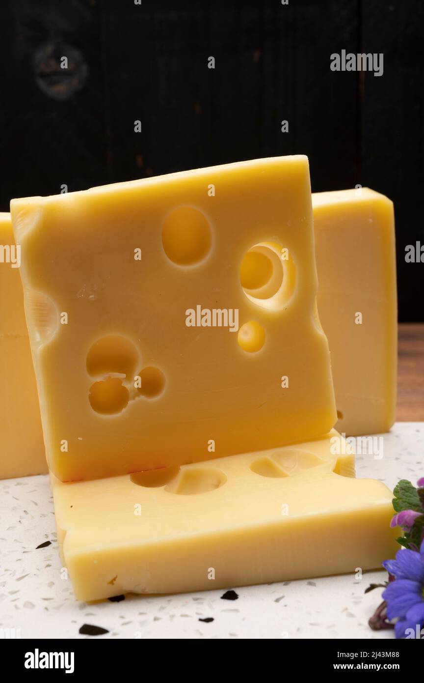 Swiss cheese collection, yellow emmentaler or emmental cheese with
