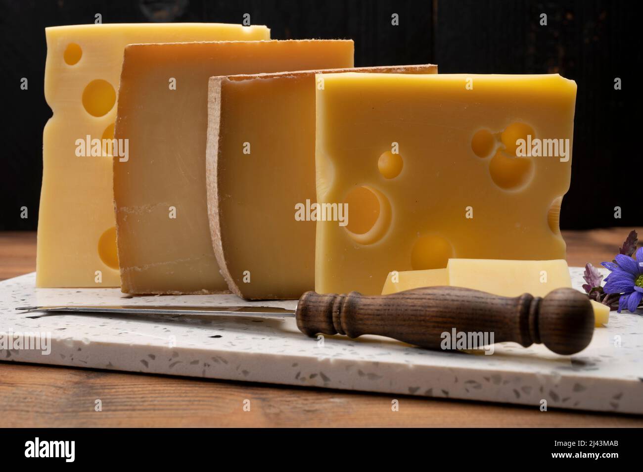 Swiss cheese collection, emmentaler with holes, gruyere, appenzeller ...