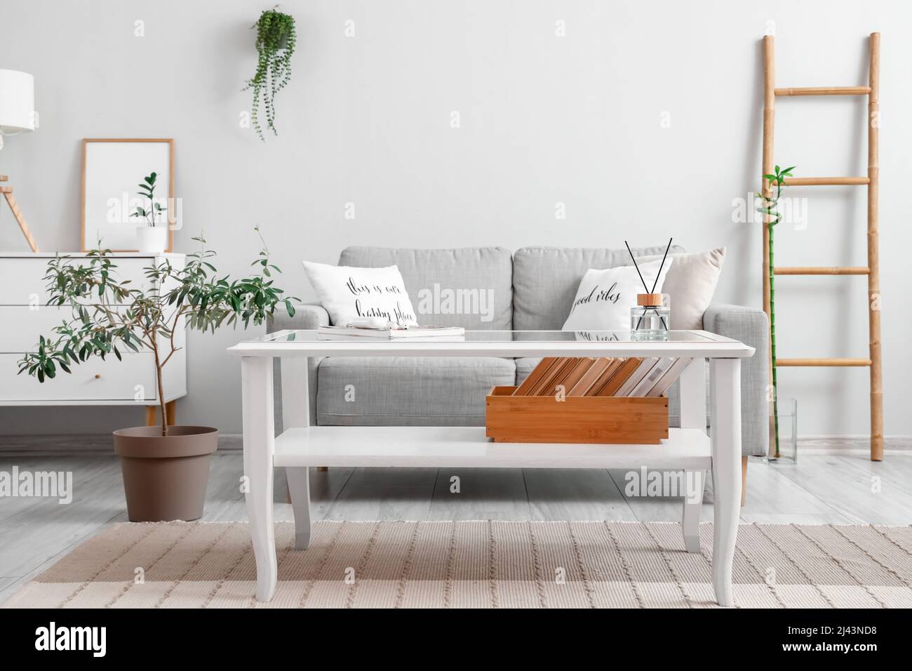 Interior of light living room with coffee table and sofa Stock Photo ...