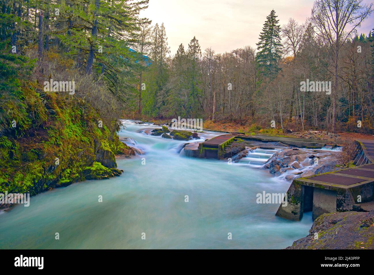 Long exposure shot of Stamp River Falls with builtin salmon ladder in