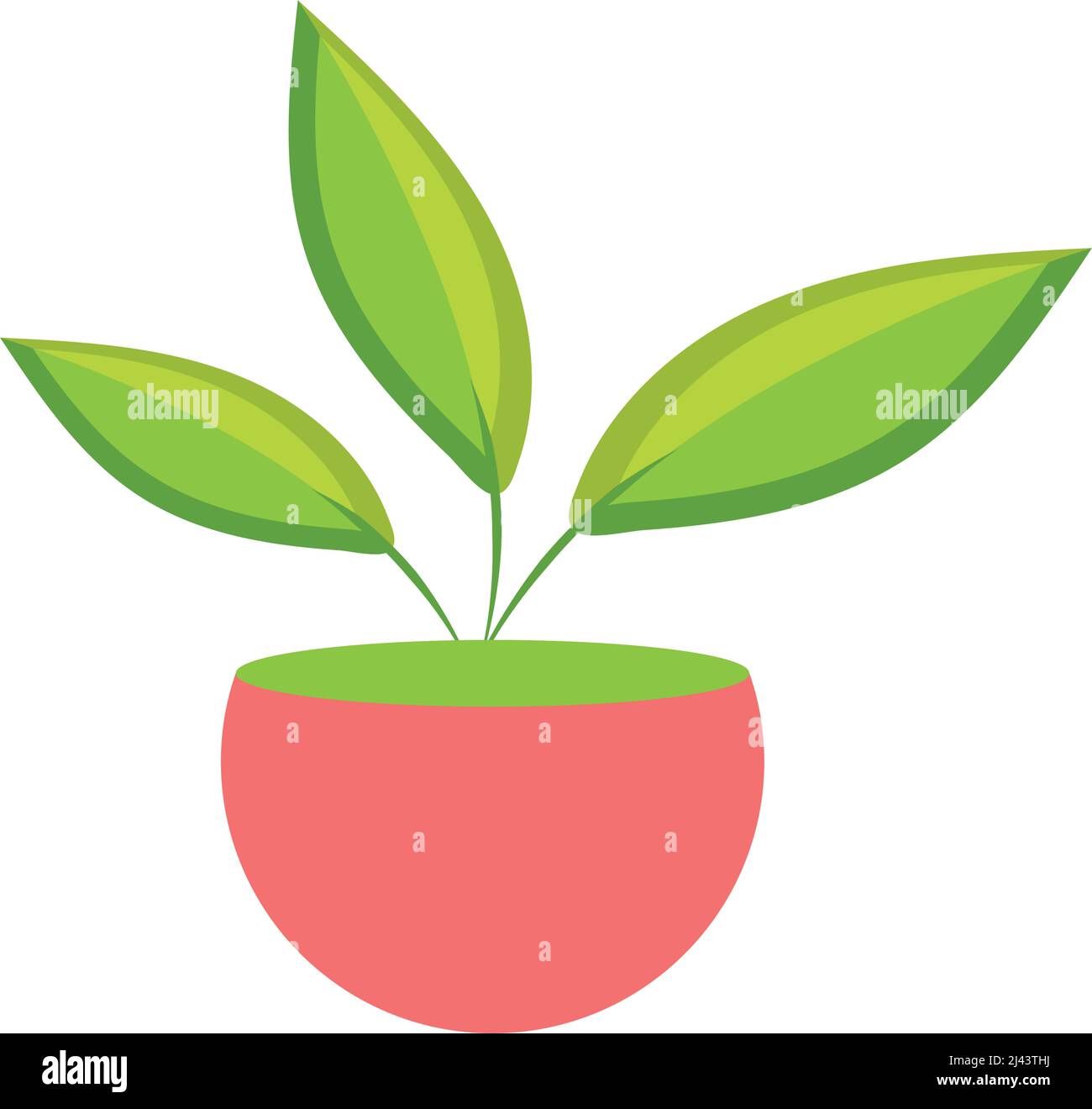 Isolated green house plant on a pot Vector Stock Vector Image & Art - Alamy