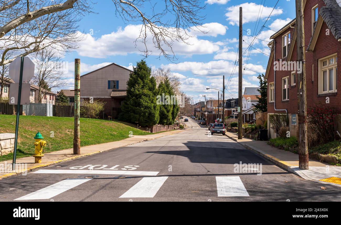 A residential street in a neighborhood with cars parked along the