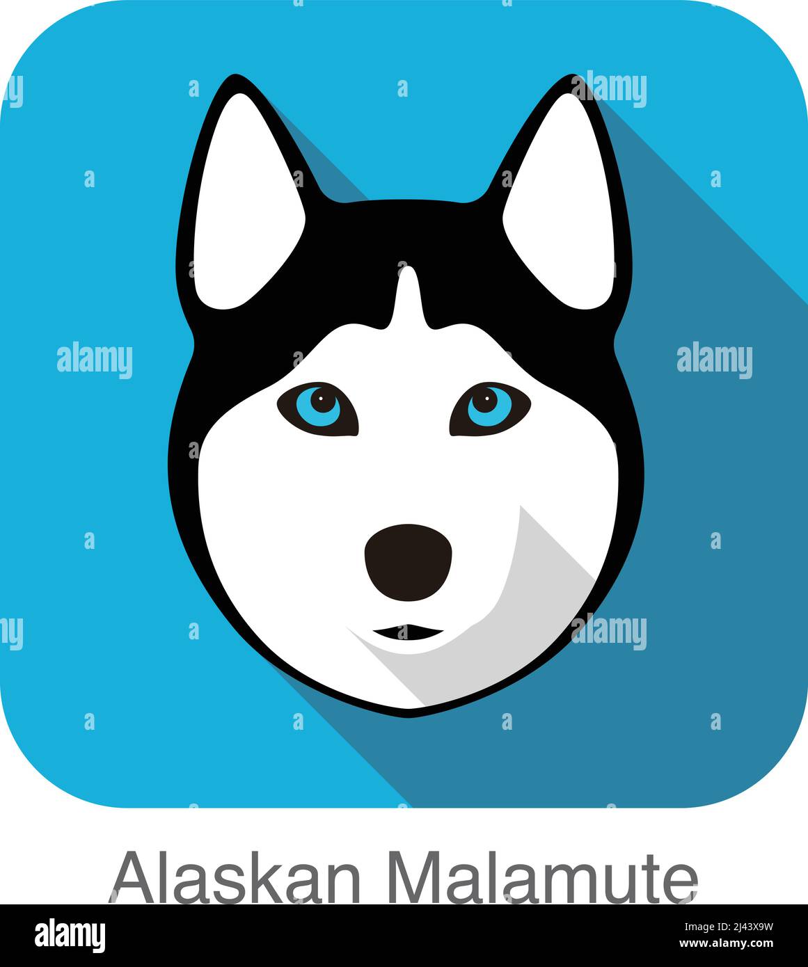 Alaskan Malamute Dog face portrait flat icon design, vector