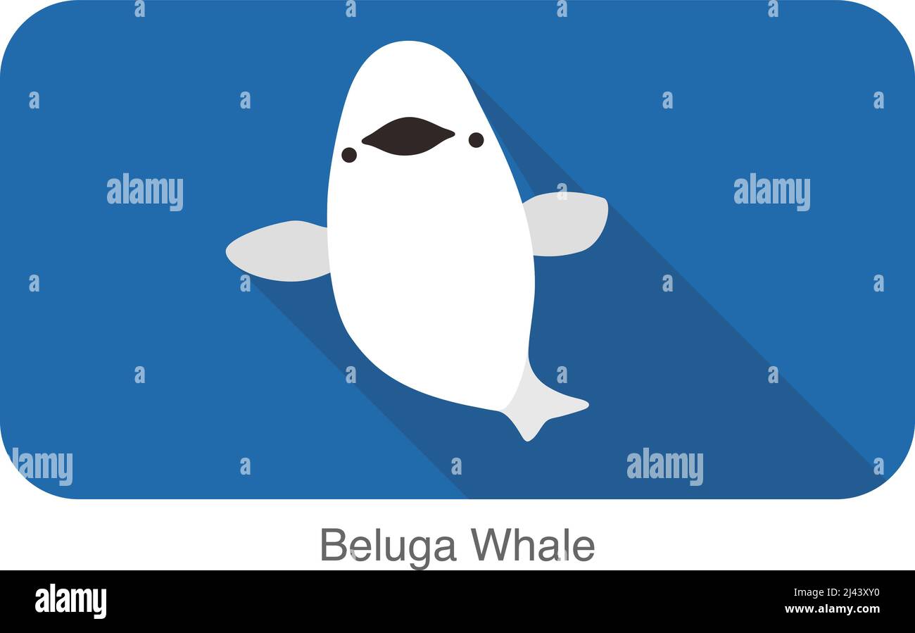 Beluga whale swimming in the water, flat icon, vector illustration Stock Vector